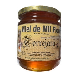 Miel milflores torrejara 500 g