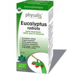 Esencia eucalipto radiata 10ml