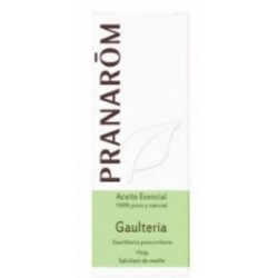 Esencia gaulteria 10ml pranarom