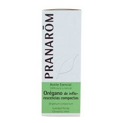 Esencia oregano infloresencia