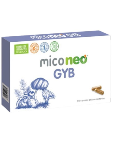 Miconeo gyb 60 capsulas gastrorresistentes 546mg