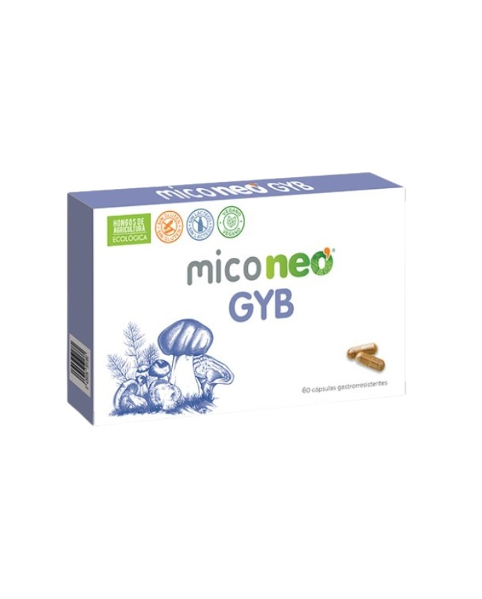 Miconeo gyb 60 capsulas gastrorresistentes 546mg