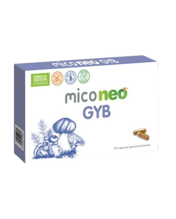 Miconeo gyb 60 capsulas gastrorresistentes 546mg