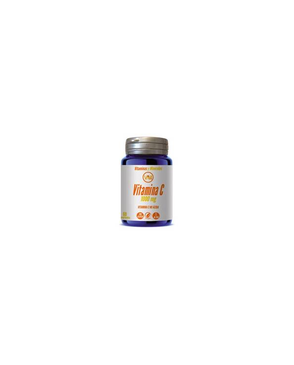 Vitamina c 1000mg. 60 comp no acida ynsadiet