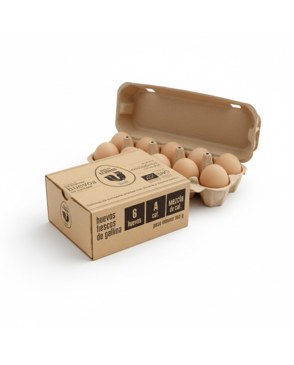 Huevos ecológicos docena Granjas Redondo
