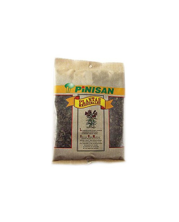 Anis verde 50gr Pinisan
