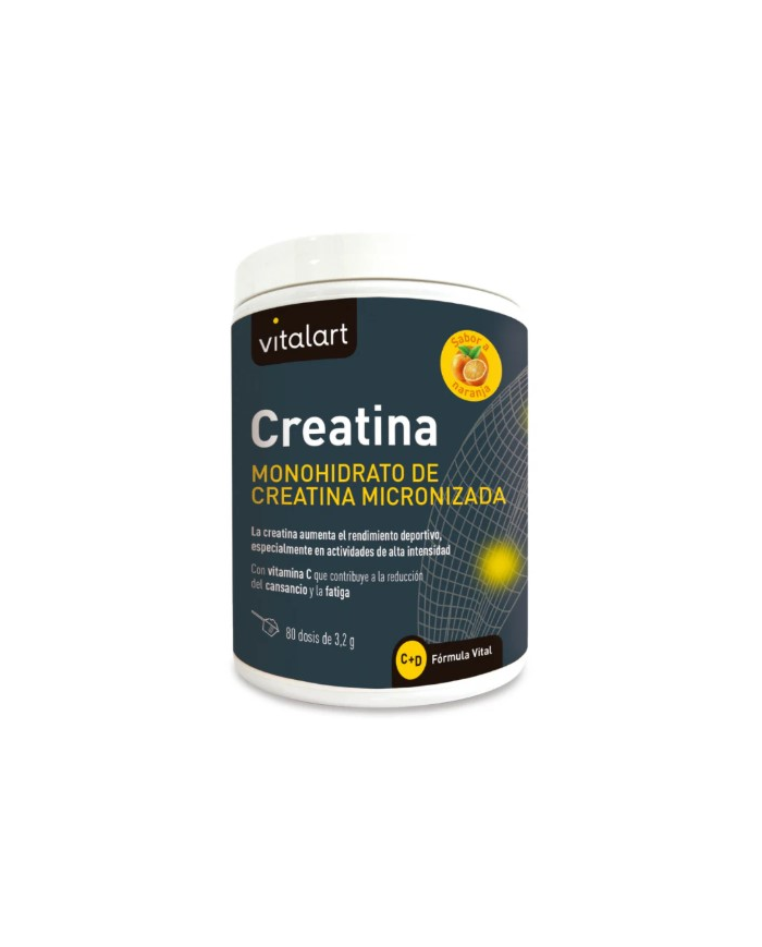 Creatina monohidrato 256g vitalart