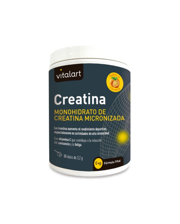 Creatina monohidrato 256g vitalart