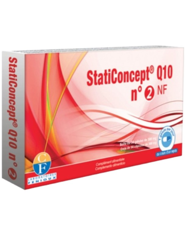 Staticoncept q10 n2 fenioux