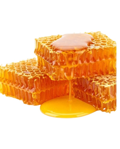 Tarrina  panal de miel 200gr como una reina