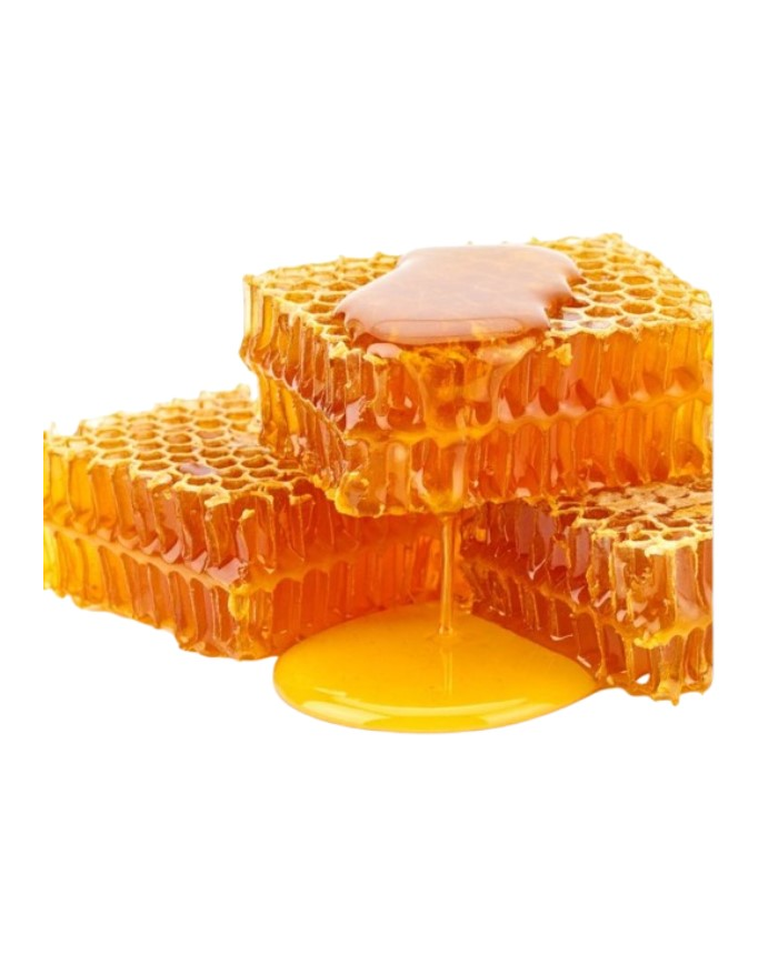 Tarrina  panal de miel 200gr como una reina