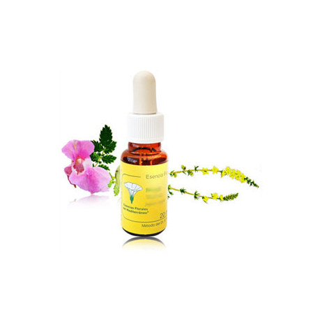 Amaranto mediterraneo flor 20ml