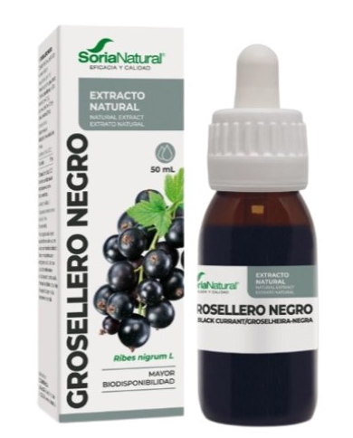 Extracto grosellero 50ml soria natural