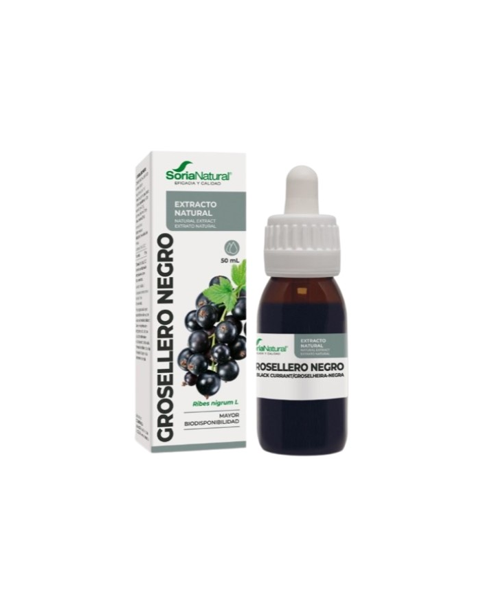 Extracto grosellero 50ml soria natural