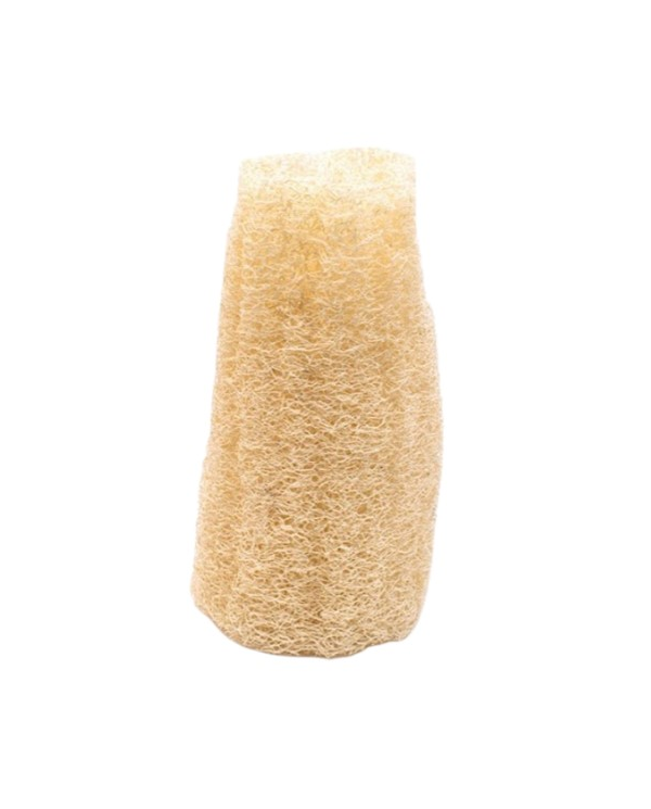 Luffa esponja baño   azal