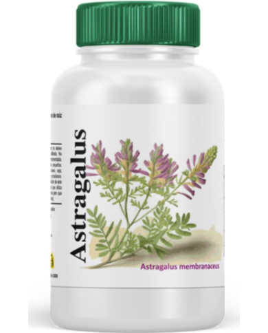 Astragalus 180 cap. vbyotics