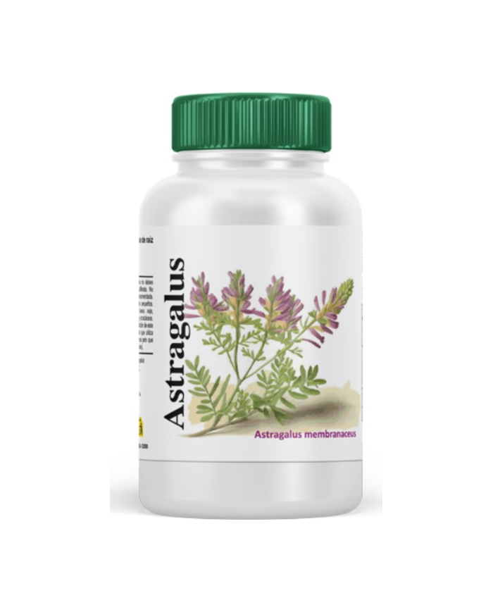Astragalus 180 cap. vbyotics