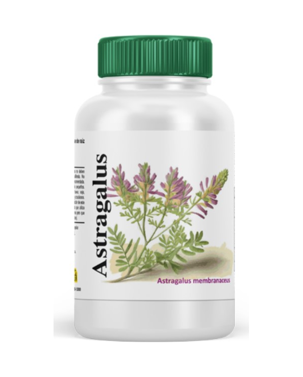 Astragalus 180 cap. vbyotics