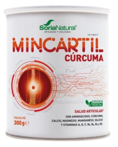 Mincartil reforzado 300g s/n