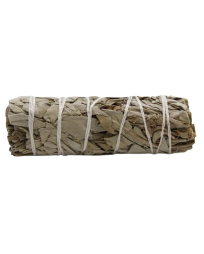 Atado salvia blanca almazen vital