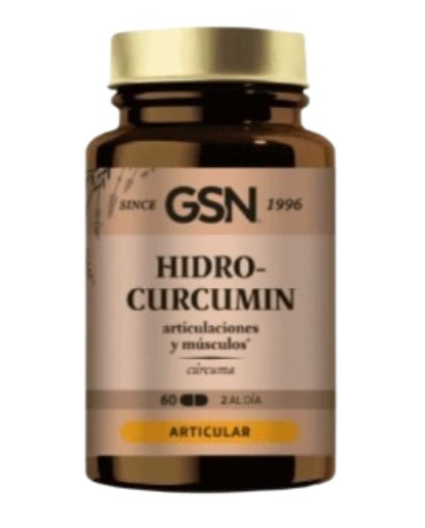 Hidro curcumin 60comp. gsn