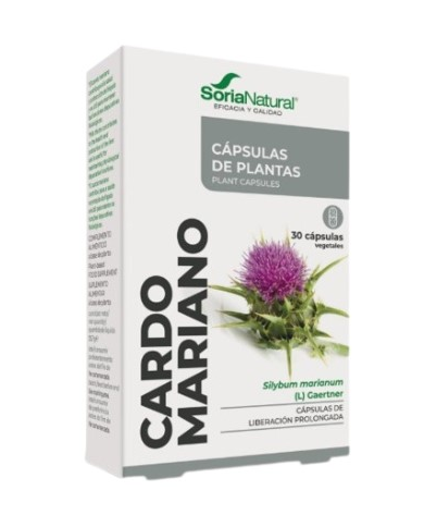 Fxxi cardo mariano 30caps soria natural