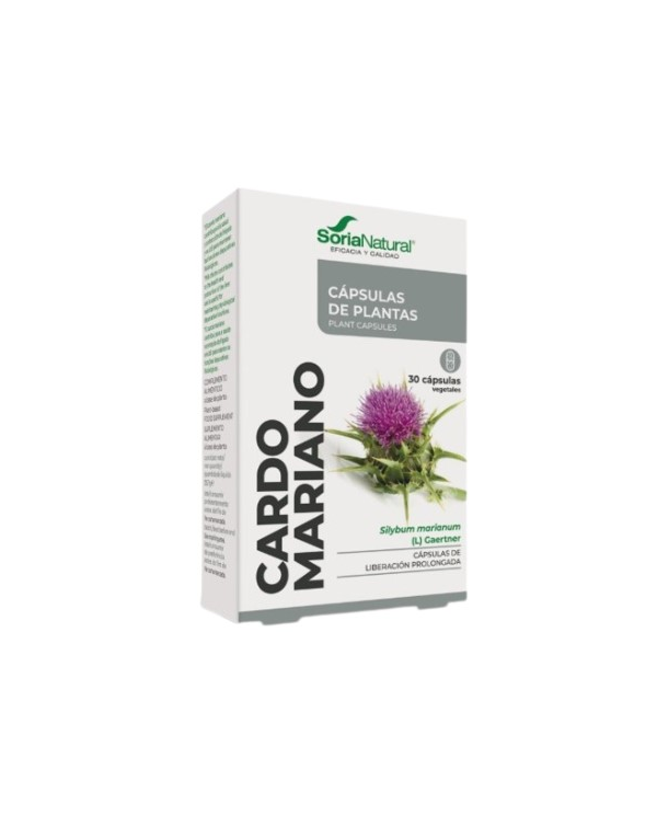 Fxxi cardo mariano 30caps soria natural