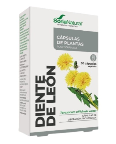 Fxxi diente leon 30caps soria natural