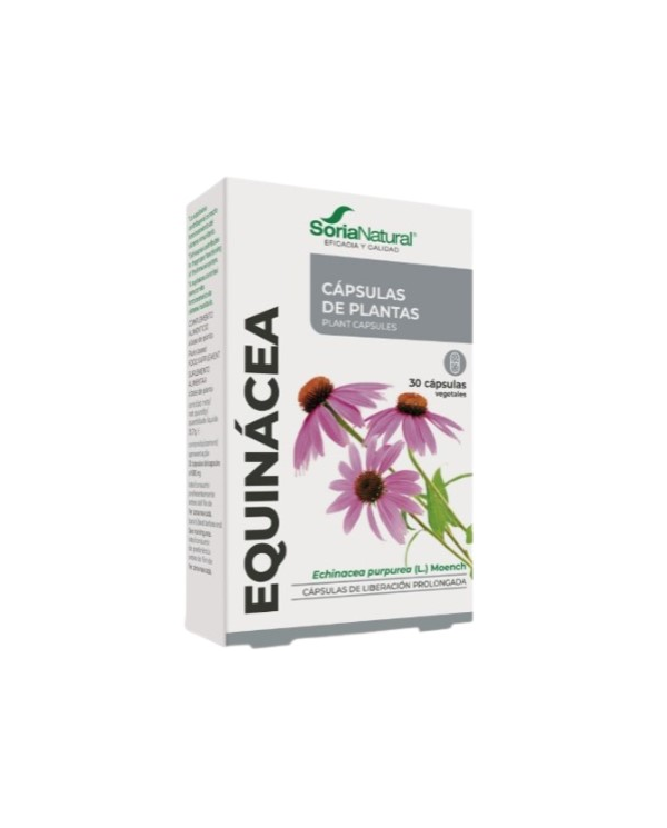 Fxxi equinacea 30caps soria natural