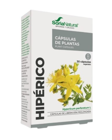 Fxxi hiperico 30caps soria natural