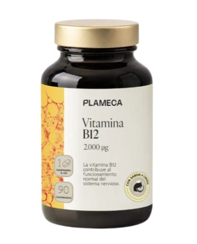 Vitamina b12 2000ug 90comp plameca