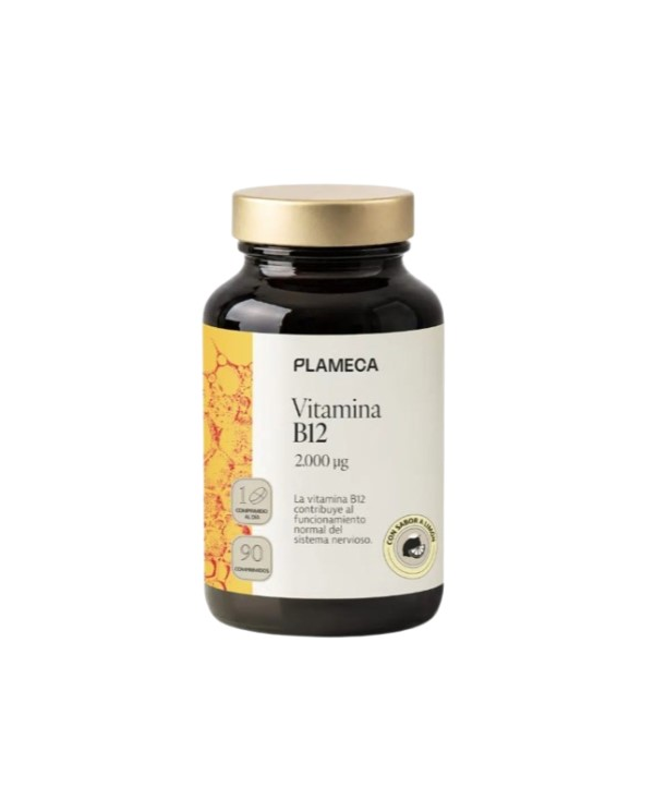 Vitamina b12 2000ug 90comp plameca
