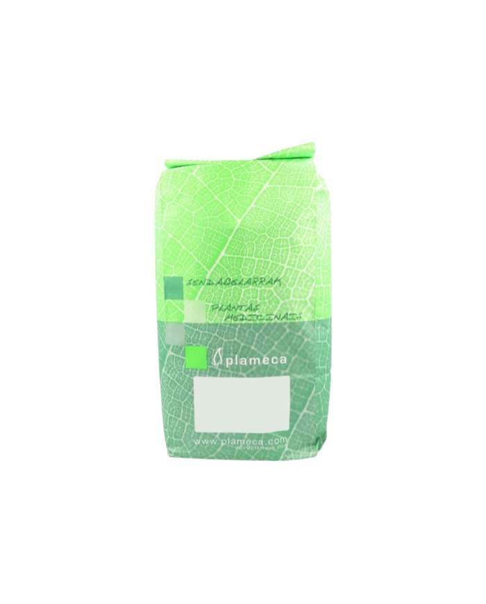 Jengibre raiz 1kg plameca