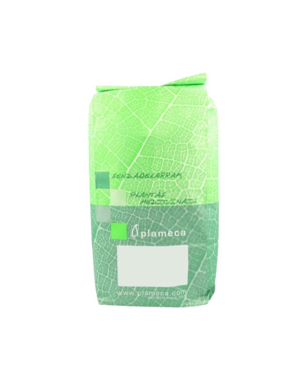 Jengibre raiz 1kg plameca