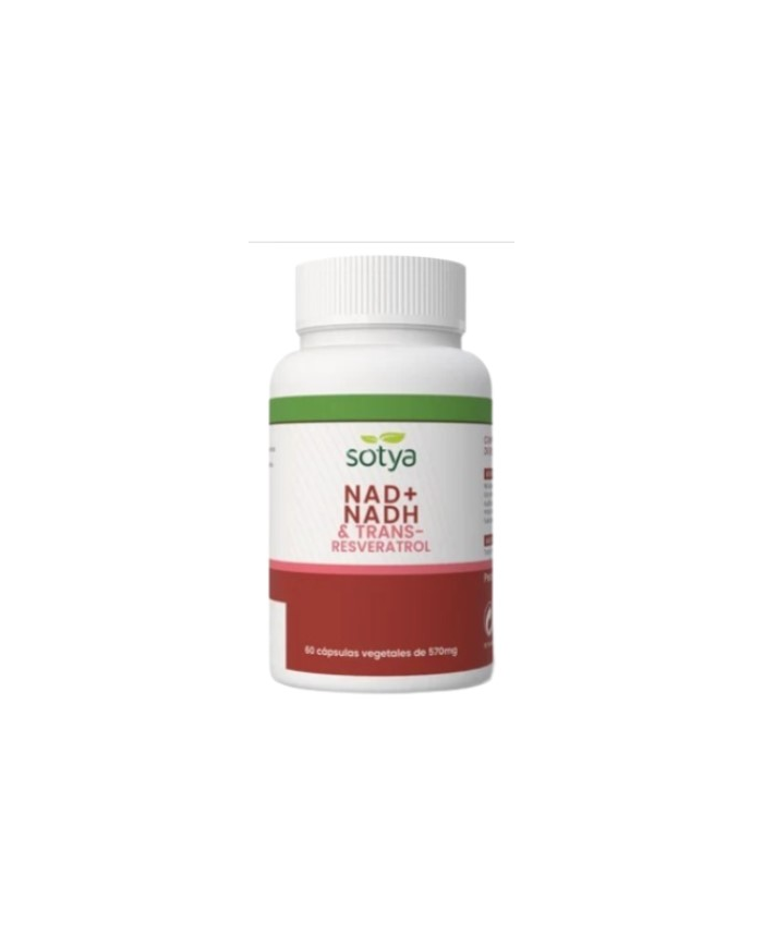 Nad+ nadh trans-resveratrol 60 capsula 570g sotya