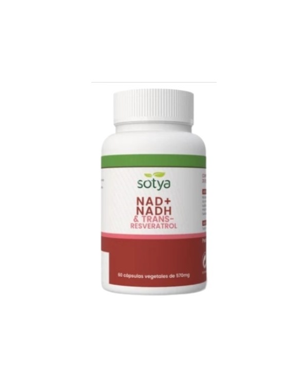 Nad+ nadh trans-resveratrol 60 capsula 570g sotya