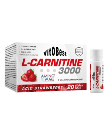 L-carnitina 3000 fresa 20 viales