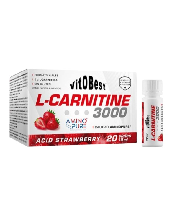L-carnitina 3000 fresa 20 viales