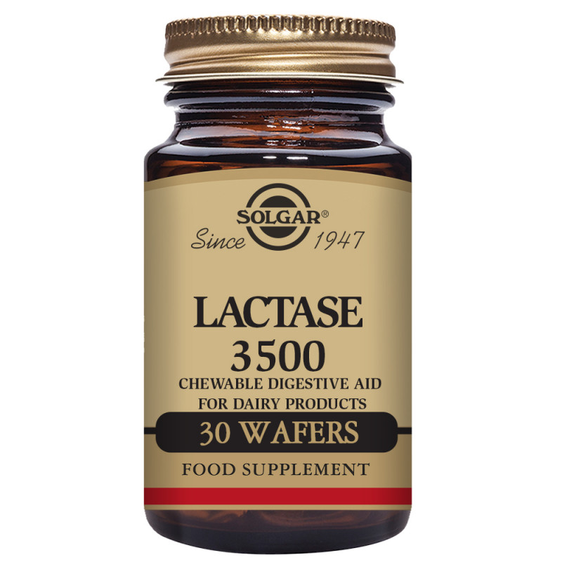 Lactasa masticable 30cp solgar
