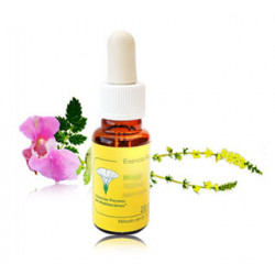 Castaño blanco mediterraneo flor 20ml