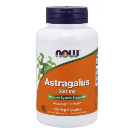 Astragalus 500mg 100cap now