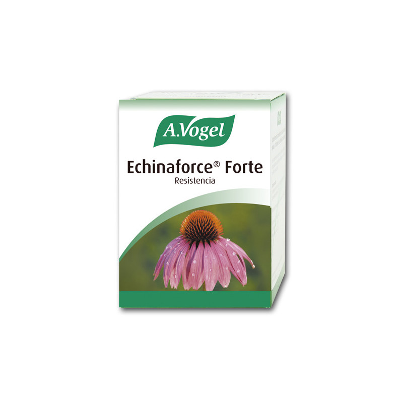 Echinaforce forte 30com vogel