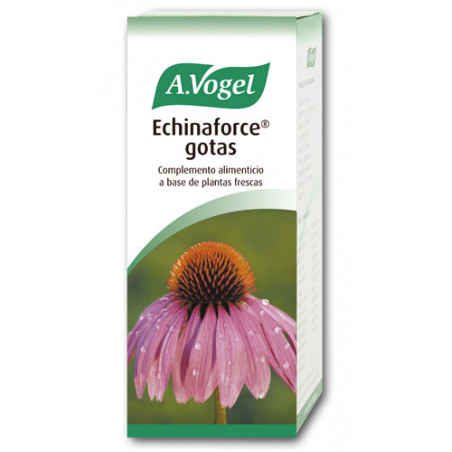 Echinaforce 100ml vogel