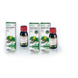 Extracto glicolico 30ml specch