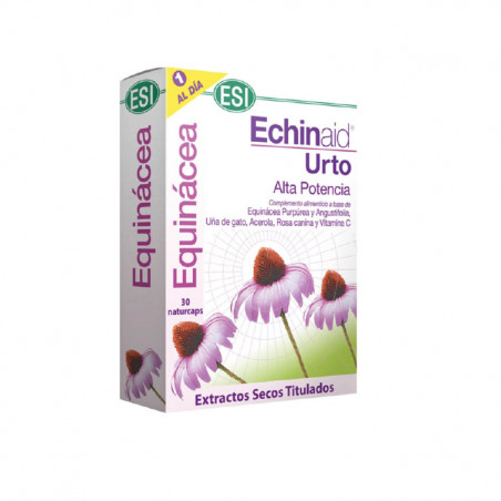 Echinaid urto 30 cap esi