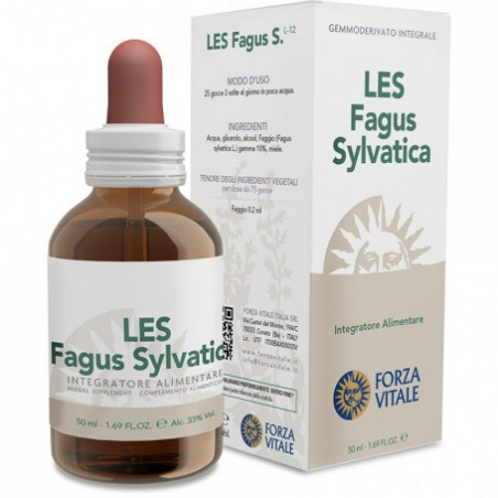 Les fagus sylvatica 50ml