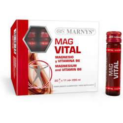 Magvital 20viales marnys