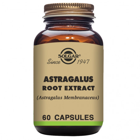 Astragalus 60cap solgar