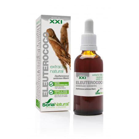 Extracto ginseng 50ml s/n