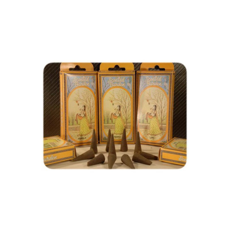 Conos aloe vera radhe shyam